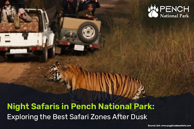 Night Safaris in Pench National Park: Exploring the Best Safari Zones After Dusk